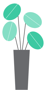 Plant illustration